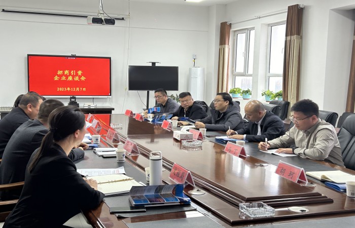 摄影1：陕西中煤新能源有限公司总经理李兵一行赴新疆考察调研.jpg